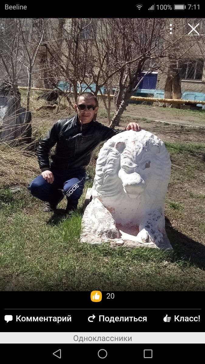 ���� 15951073 ������� ���������, 47 ���, ���� ���������� � �����