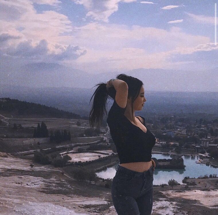  24923653  , 24 ,    