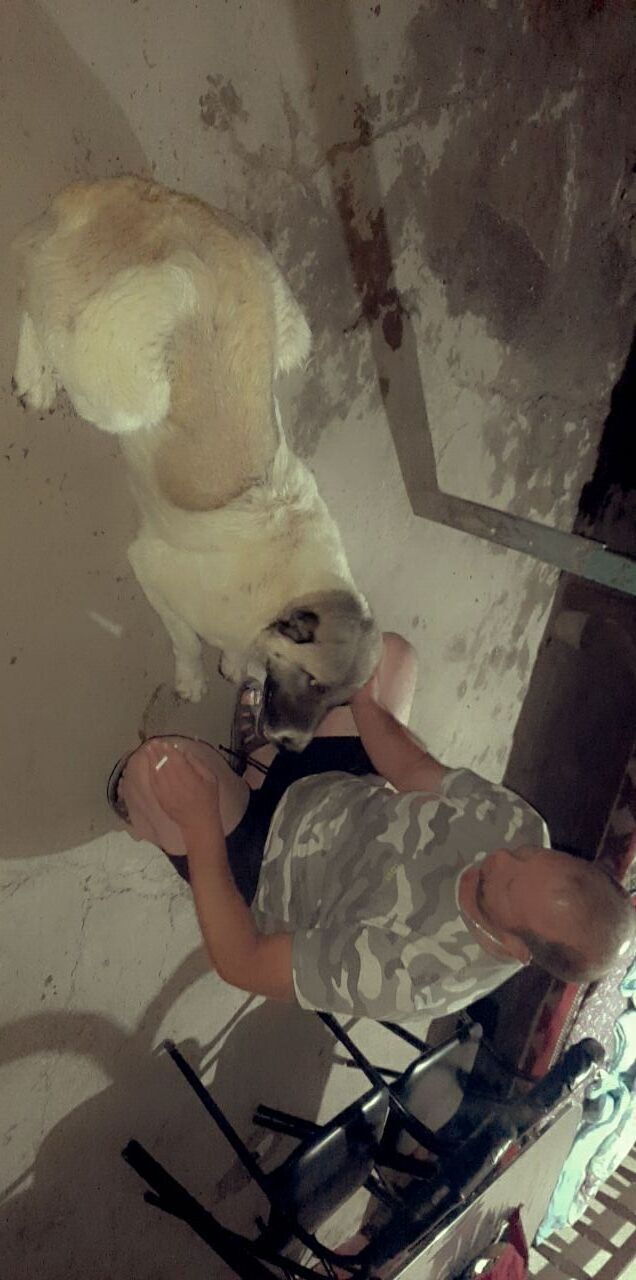 ���������� �������, ���� ������� ������, 42 ����, ������������ ��� ������, ����� � ���������