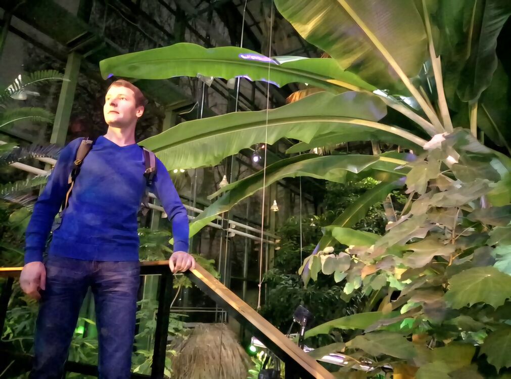 ���������� ������, ���� ������� Leo, 38 ���, ������������ ��� ������, ����� � ���������