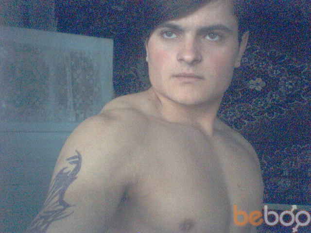 ���� 1092033 ������� Niku, 36 ���, ���� ���������� � ��������