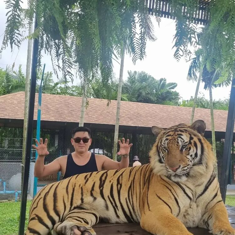  ,   , 37 ,   ,   
