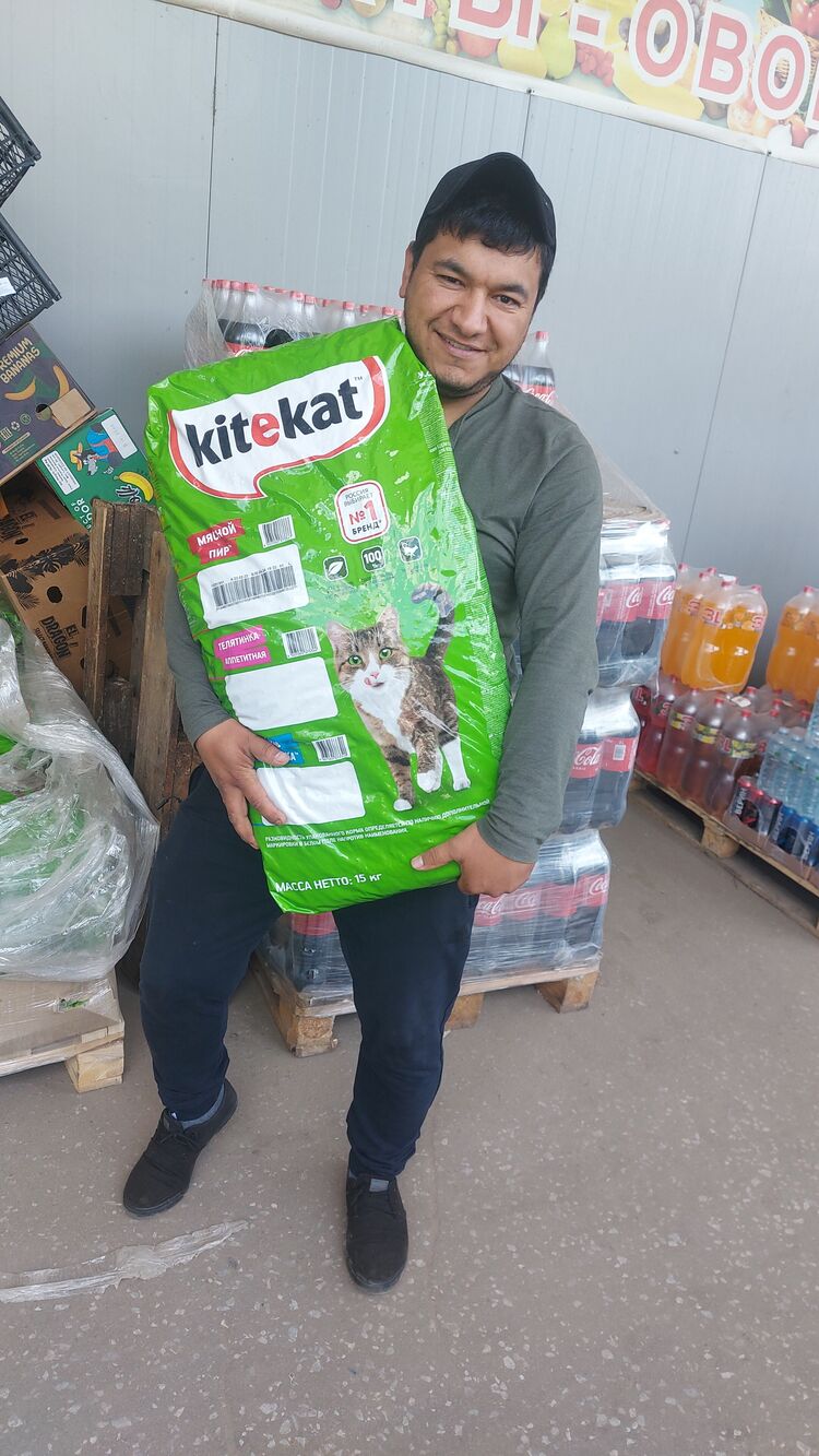 ���� 37350463 ������� ����, 41 ���, ���� ���������� � �����