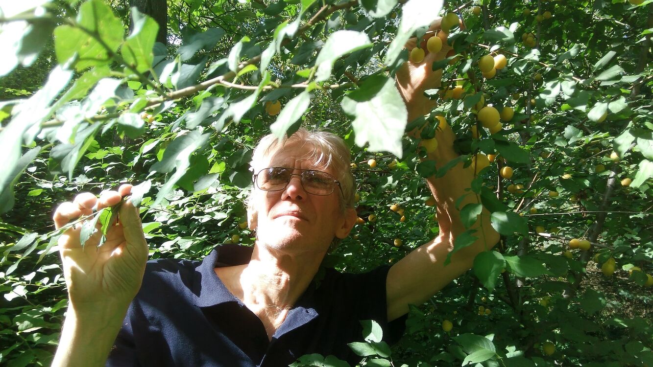  ,   Vik, 61 ,   ,   , 