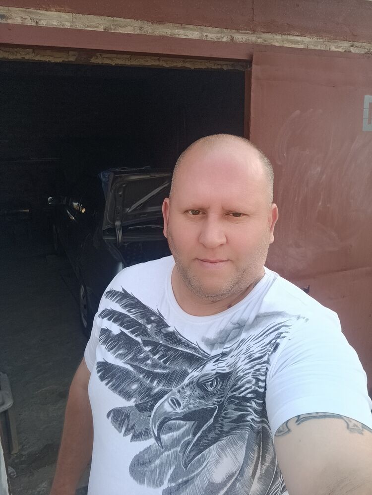  41946753  , 43 ,    