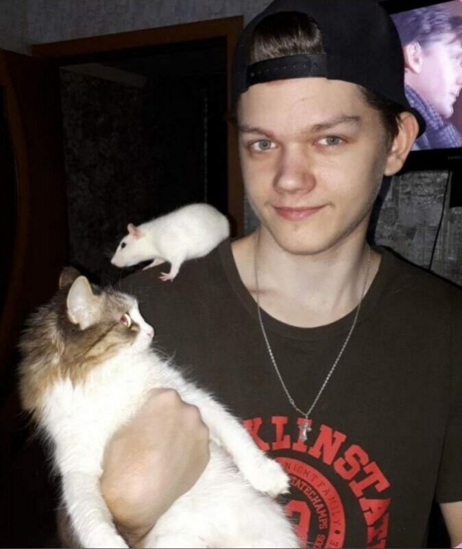 ���� 33080293 ����� �������, 23 ����, ���� ���������� � ����������