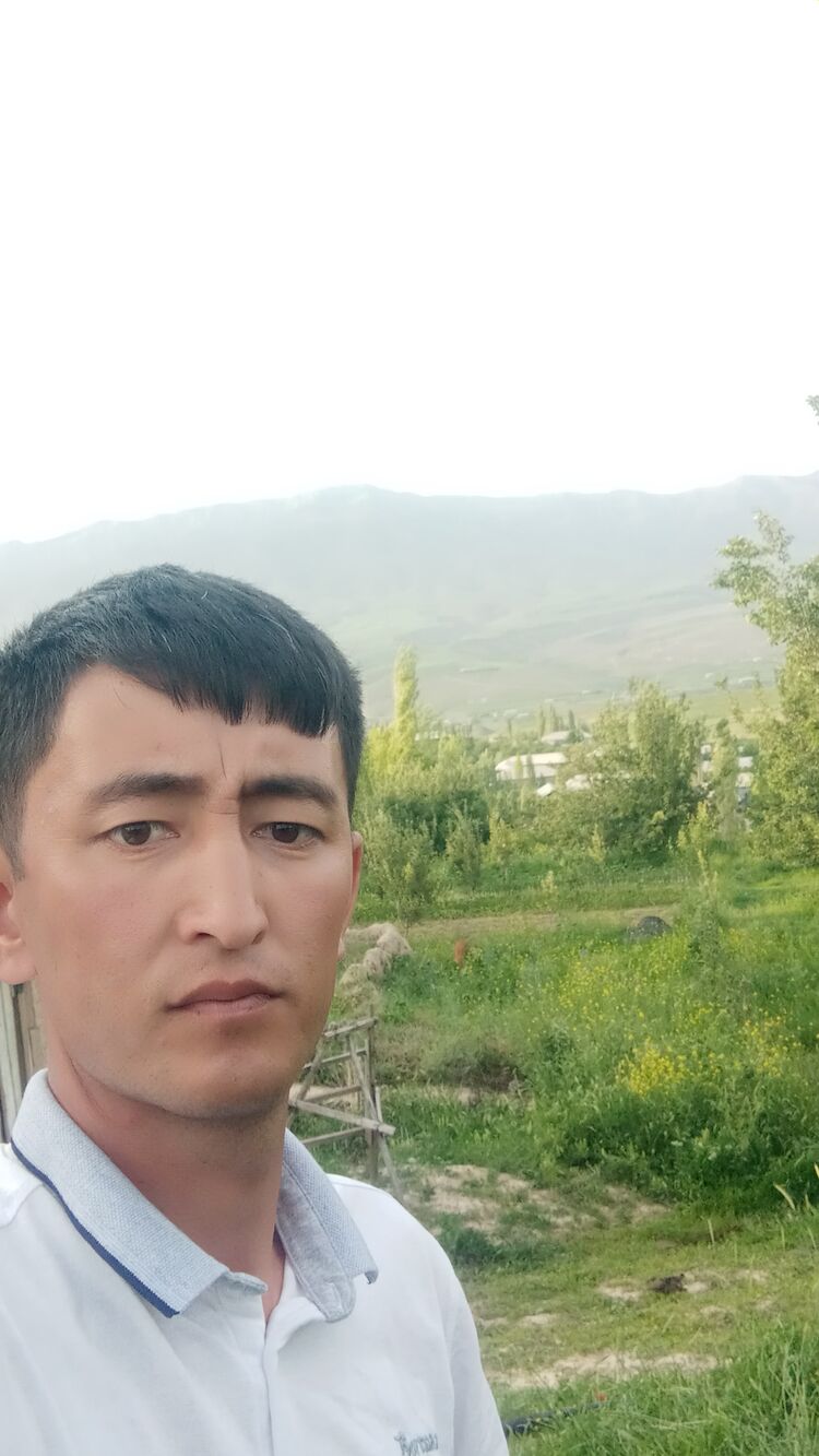  --,   , 31 ,   ,   