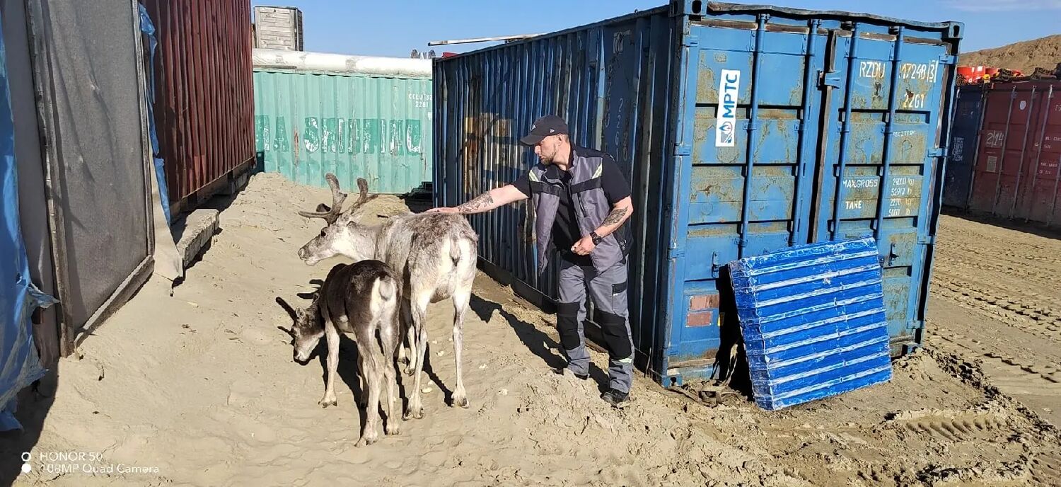 ���������� ���������, ���� ������� �����, 39 ���, ������������ ��� ������, ����� � ���������