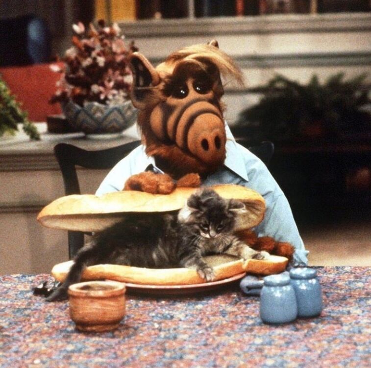 ���������� ����������, ���� ������� �����, 35 ���, ������������ ��� ������, ���������