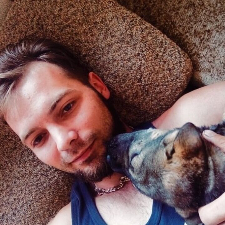  26480243  , 31 ,    --