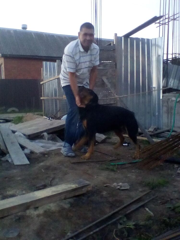  46406103  , 55 ,    