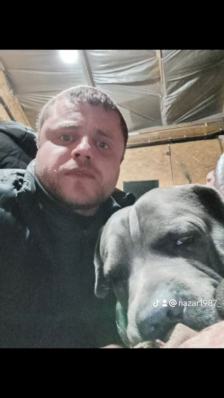 ���� 55977353 ������� �����, 39 ���, ���� ���������� � �����