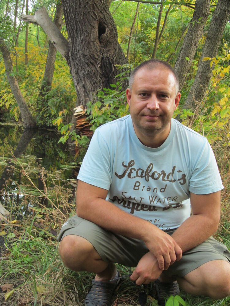 ���������� ���������, ���� ������� ����������, 50 ���, ������������ ��� ����� � ���������, c�������� ���������