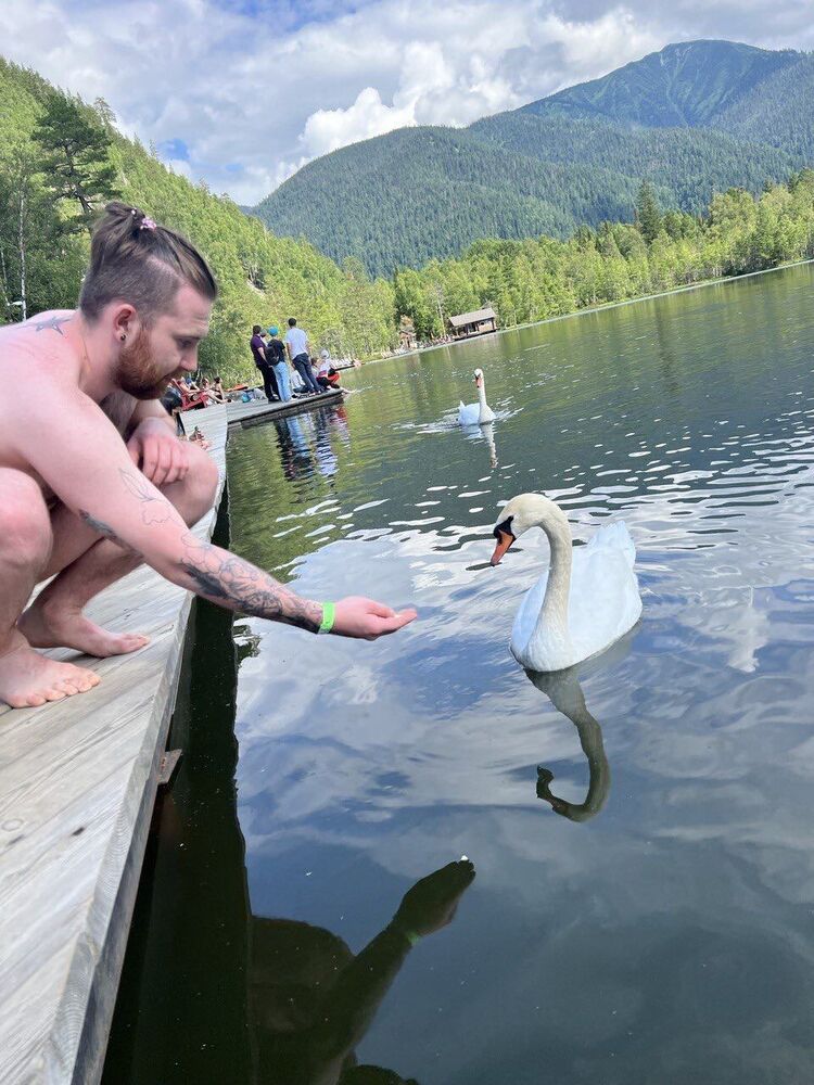 ���� 27775103 ������� ������, 32 ����, ���� ���������� � ��������