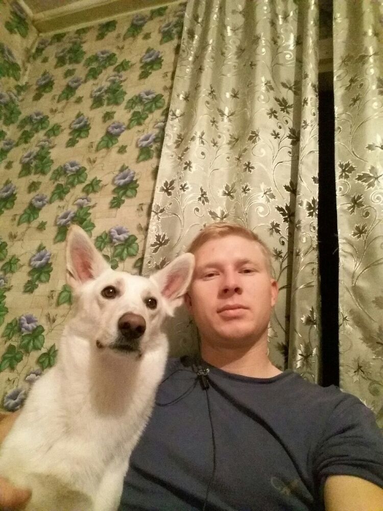 ���������� ����-�����������, ���� ������� ���������, 33 ����, ������������ ��� ������, ����� � ���������, c�������� ���������, ���������