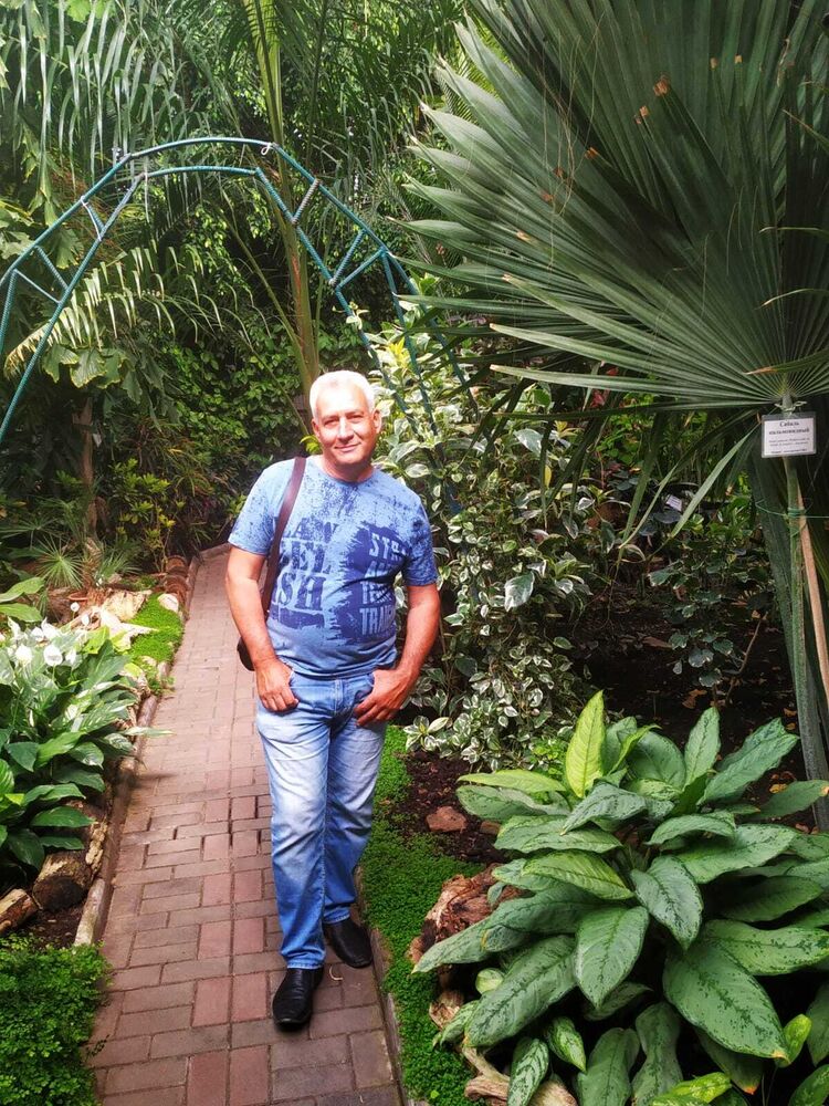 ���� 54859003 ������� ������, 62 ����, ���� ���������� � ������