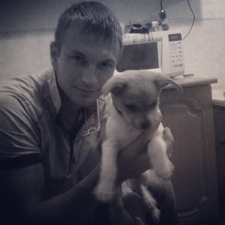  35322163  Vitalik, 35 ,    