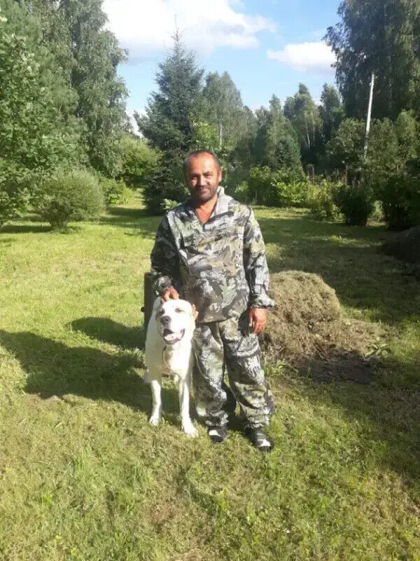 ���������� ������, ���� ������� �������, 43 ����, ������������ ��� ���������