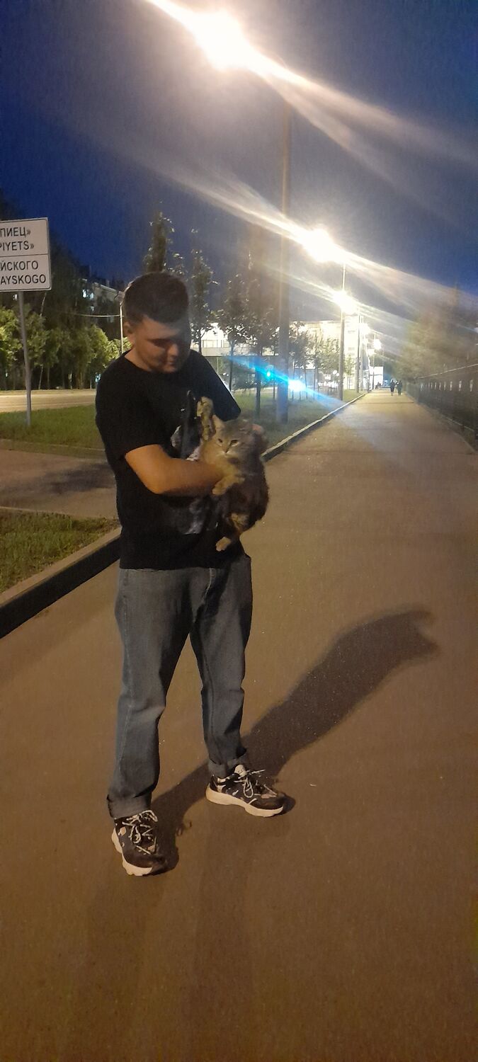 ���� 27630943 ������� Ali, 27 ���, ���� ���������� � ������