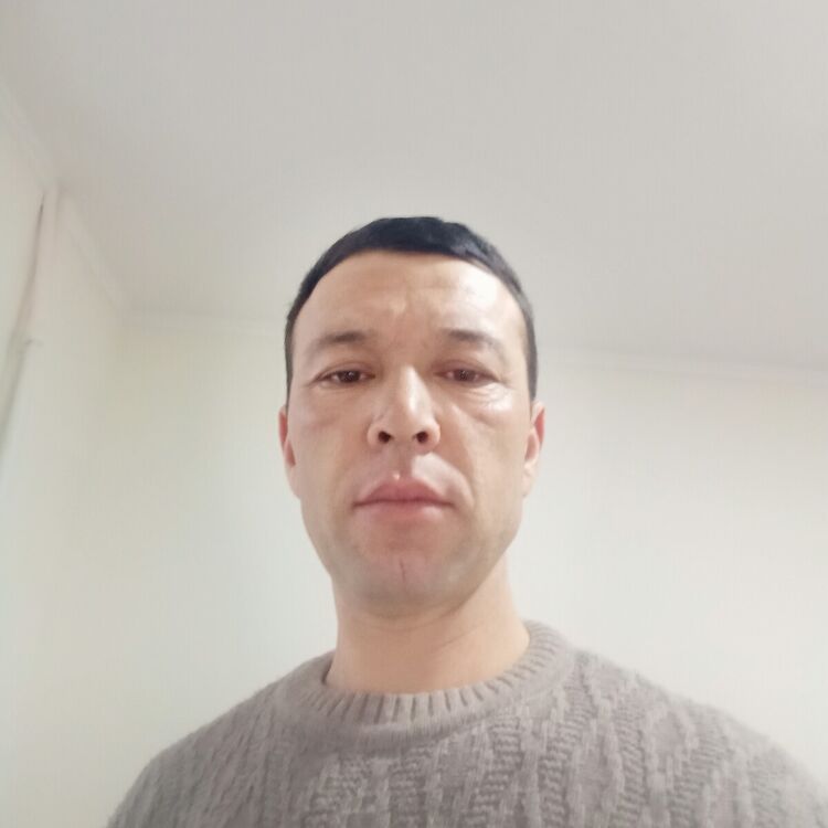 ���������� �������, ���� ����� ����������, 24 ����, ������������ ��� ������, ����� � ���������, c�������� ���������