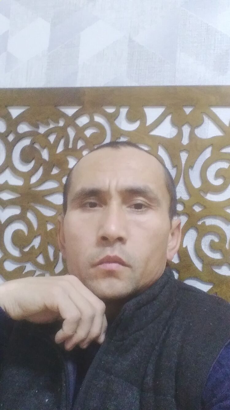  31305923  , 37 ,    