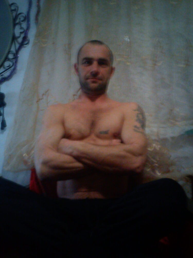  8780353  , 54 ,    