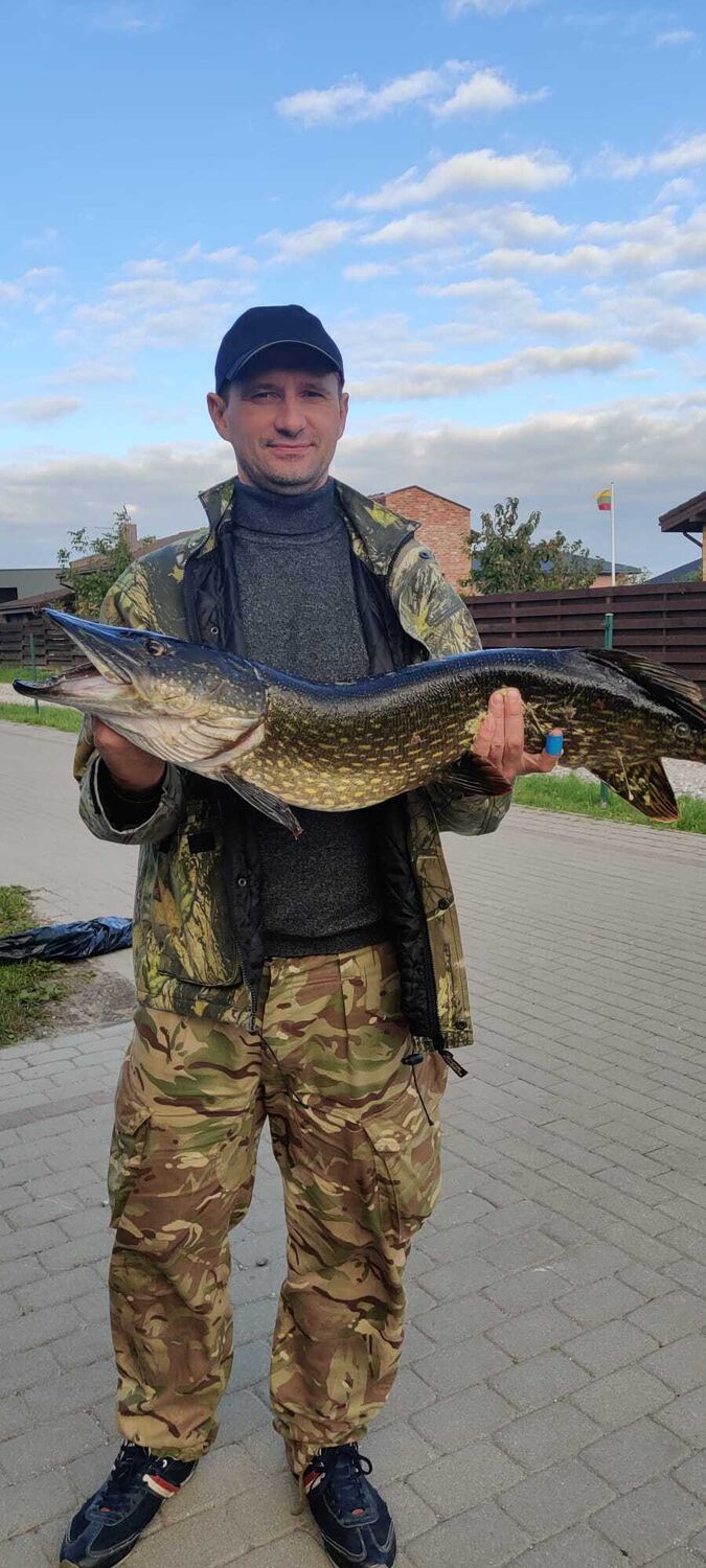 ���������� �����, ���� ������� ���������, 48 ���, ������������ ��� ����� � ���������, c�������� ���������