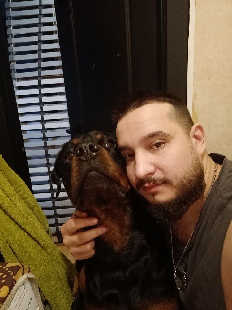 ���� 54953383 ������� �����, 32 ����, ���� ���������� � ��������