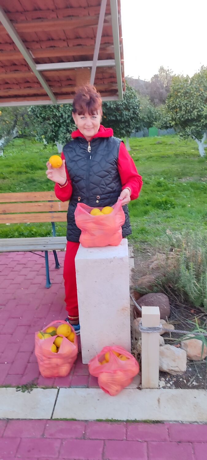 ���������� ����, ���� ������� ����, 53 ����, ������������ ��� c�������� ���������