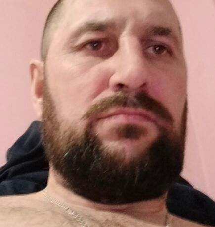 51782613  , 44 ,    