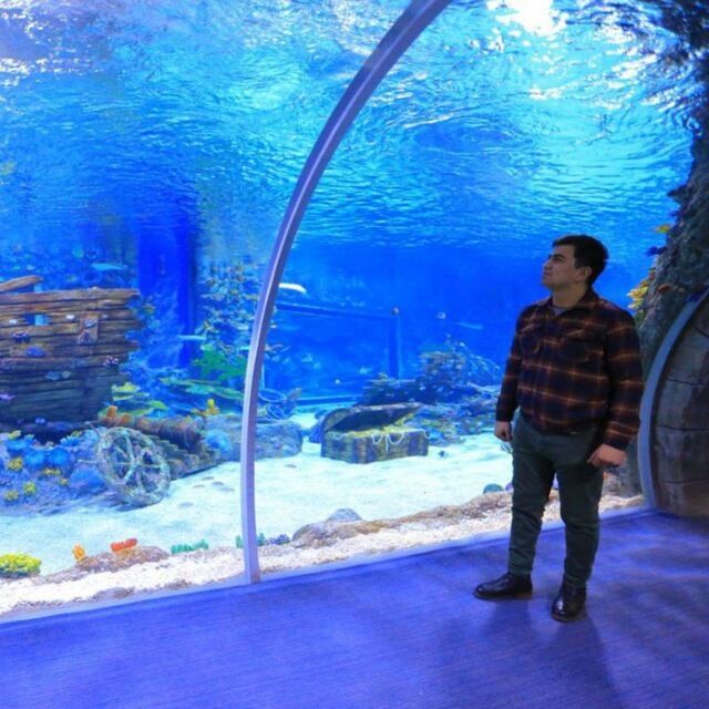  ,   Ibragim, 29 ,   ,   , c 