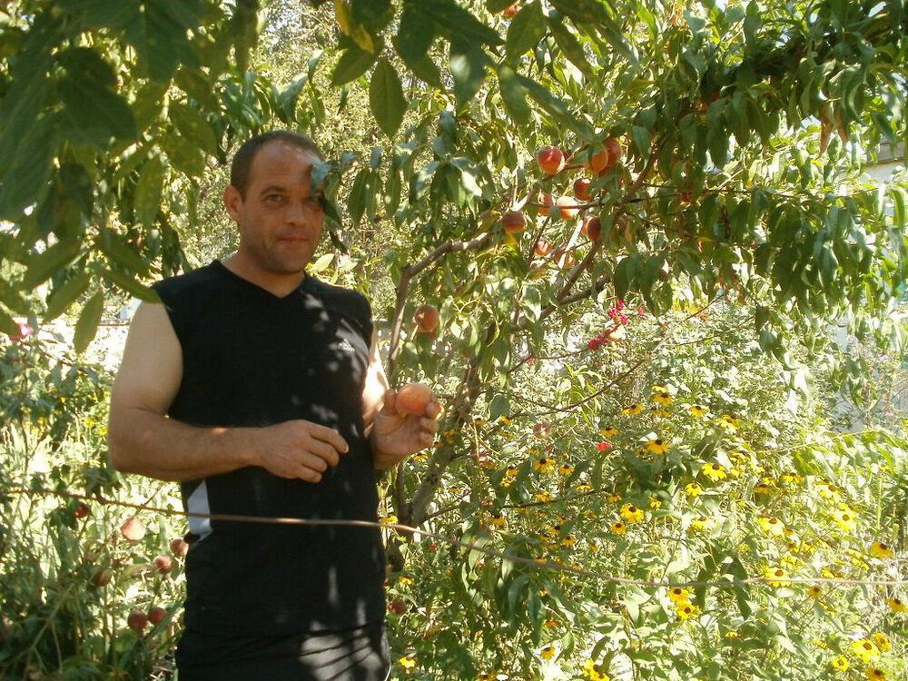 ���������� �������, ���� ������� �����, 54 ����, ������������ ��� ������, ����� � ���������, c�������� ���������