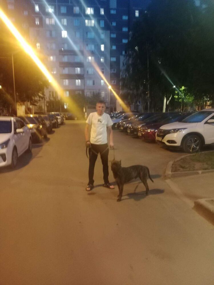 ���� 56032533 ������� ������, 43 ����, ���� ���������� � ������