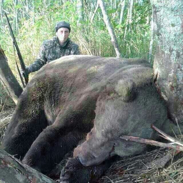 ���� 17487093 ������� �������, 37 ���, ���� ���������� � ������