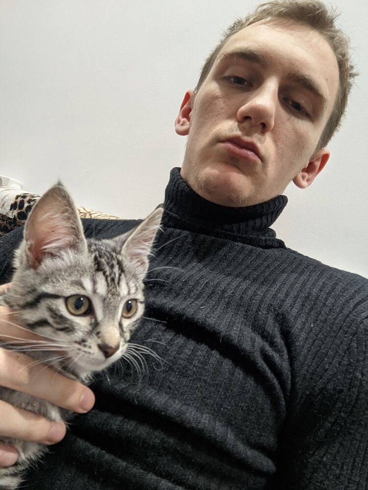 ���� 30619213 ����� ������, 22 ����, ���� ���������� � ��������