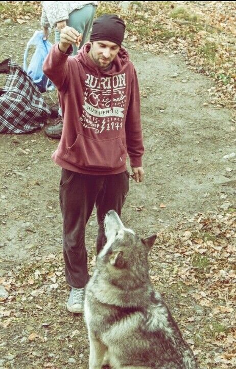 ���� 16742033 ������� ���������, 40 ���, ���� ���������� � ������������