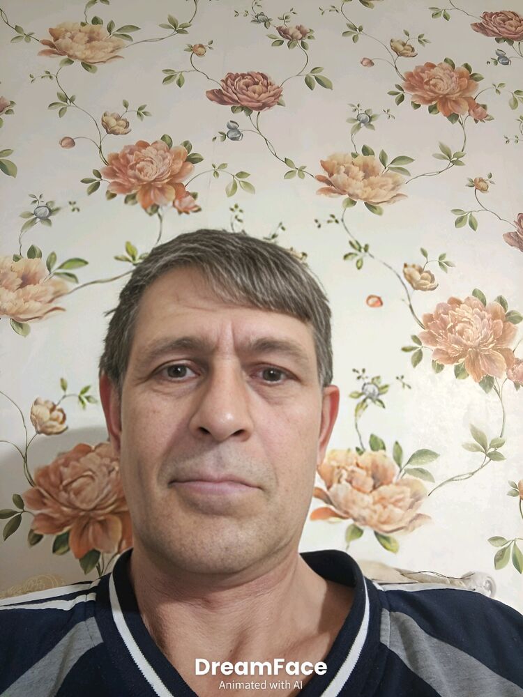 53331673  , 53 ,    