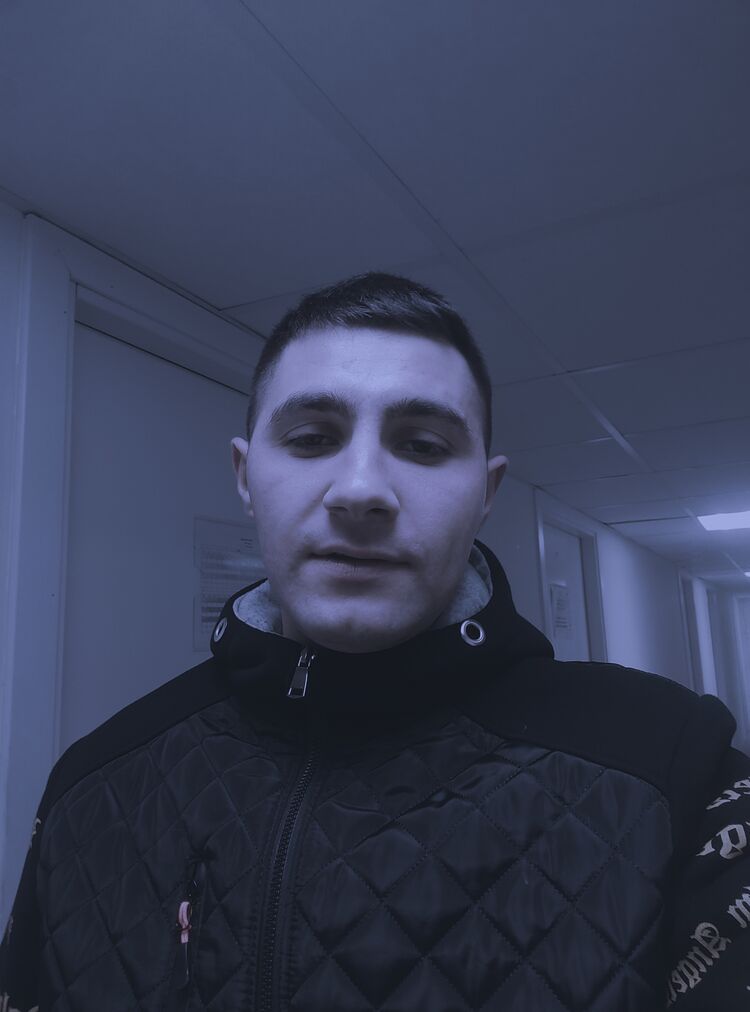  30535833  , 29 ,    