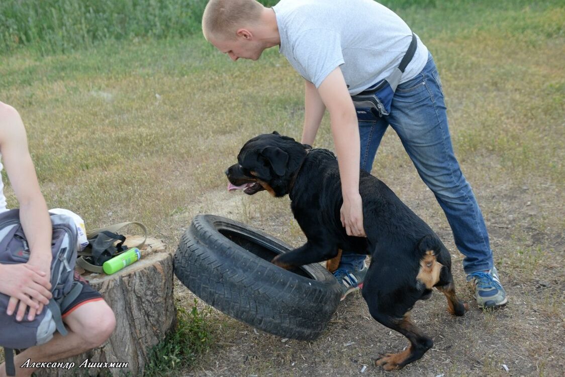  6513343  Sergei, 39 ,    