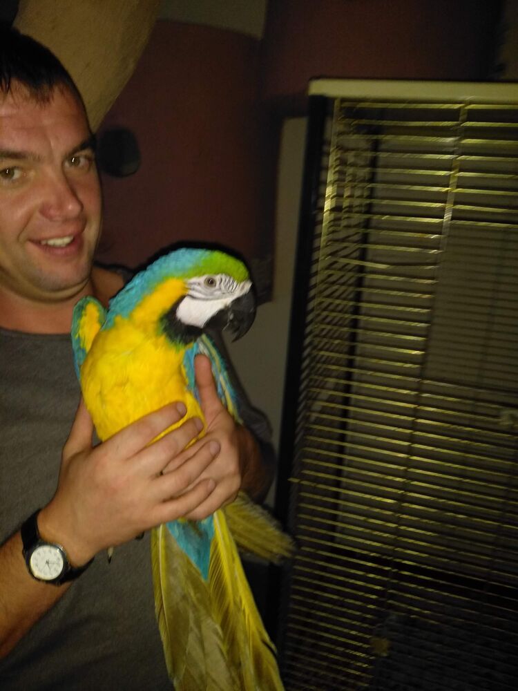 ���������� �����-���������, ���� ������� ���������, 42 ����, ������������ ��� ������, ����� � ���������, c�������� ���������, ���������