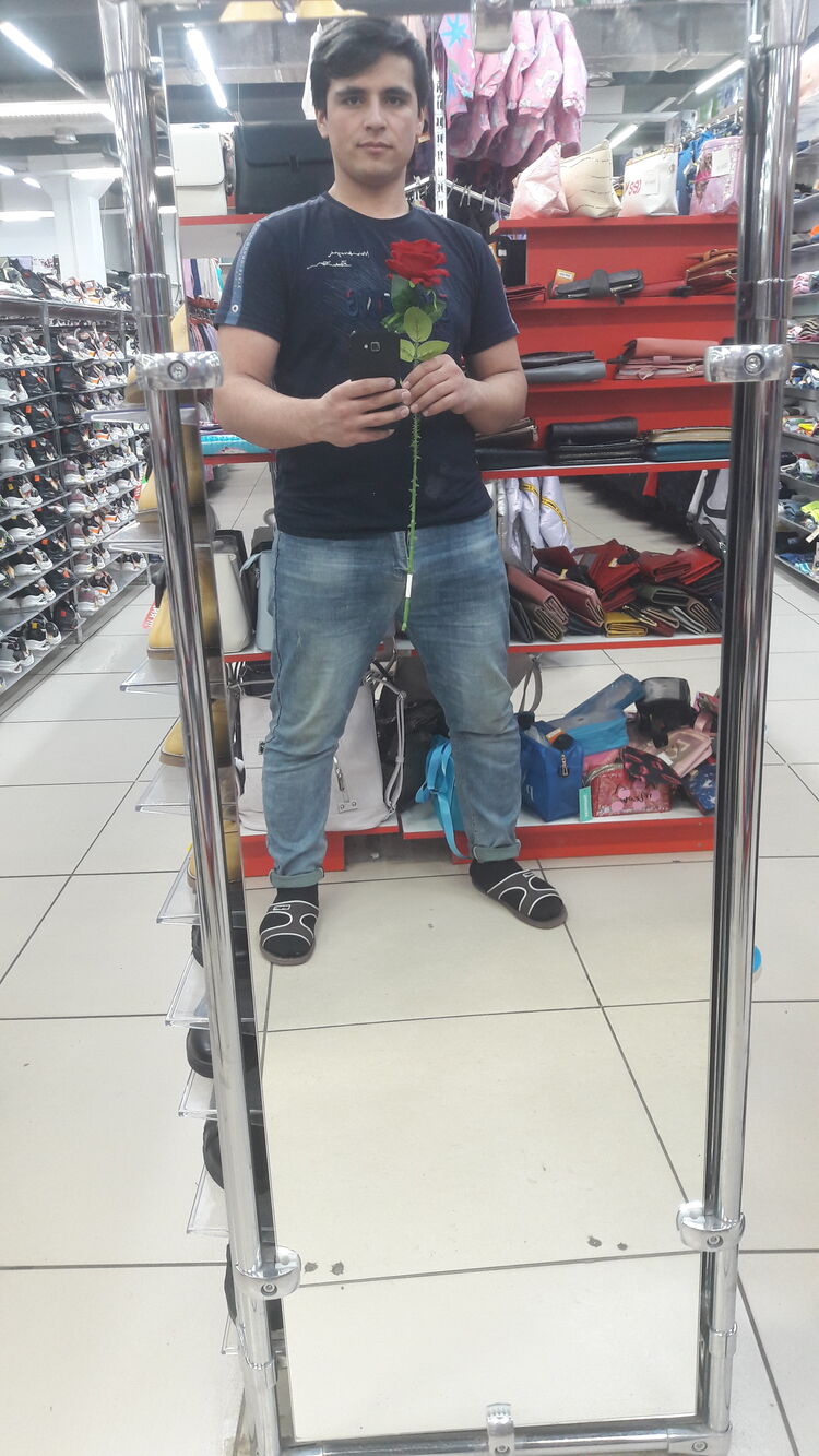 ���������� ���������, ���� ����� ������, 24 ����, ������������ ��� ������, ����� � ���������