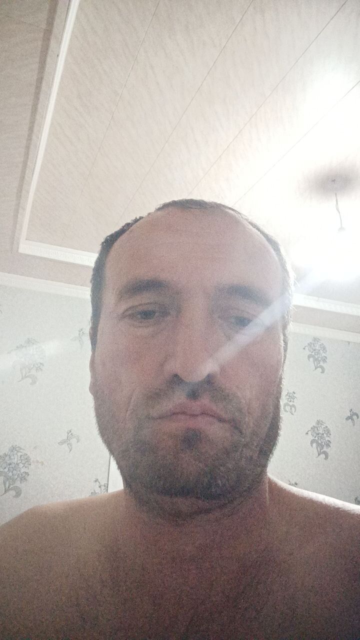 ���� 56176183 ������� ���������, 44 ����, ���� ���������� � ��������