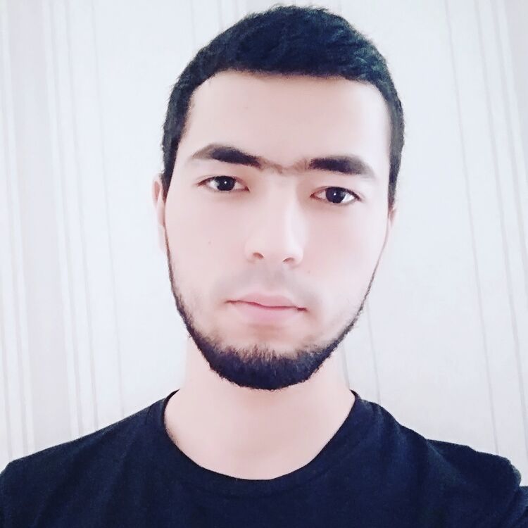  17845193  , 27 ,    