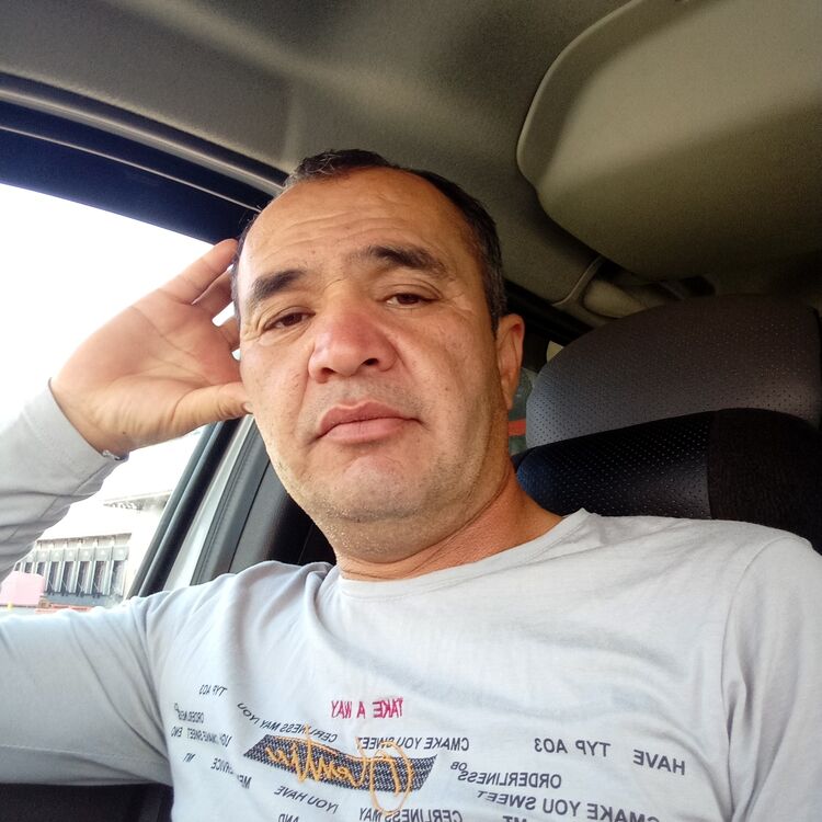  46069553  , 44 ,    