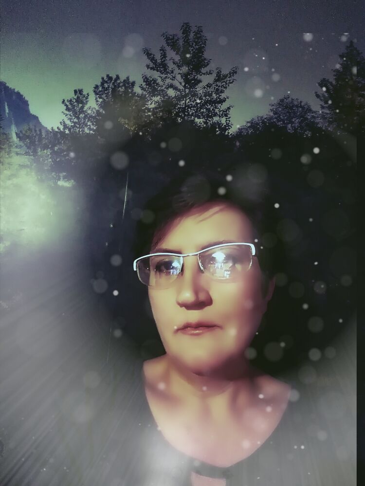  50314923  , 53 ,    -