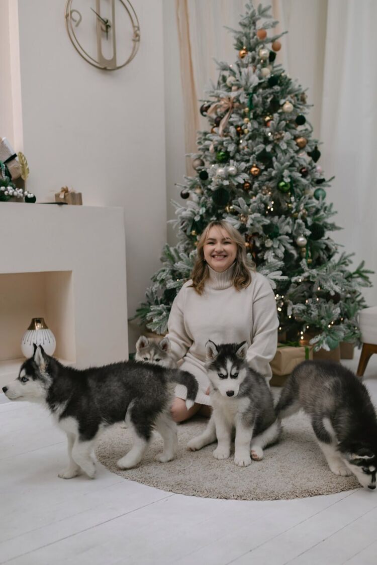 ���������� �����-���������, ���� ������� ���, 36 ���, ������������ ��� ������, ����� � ���������, ���������