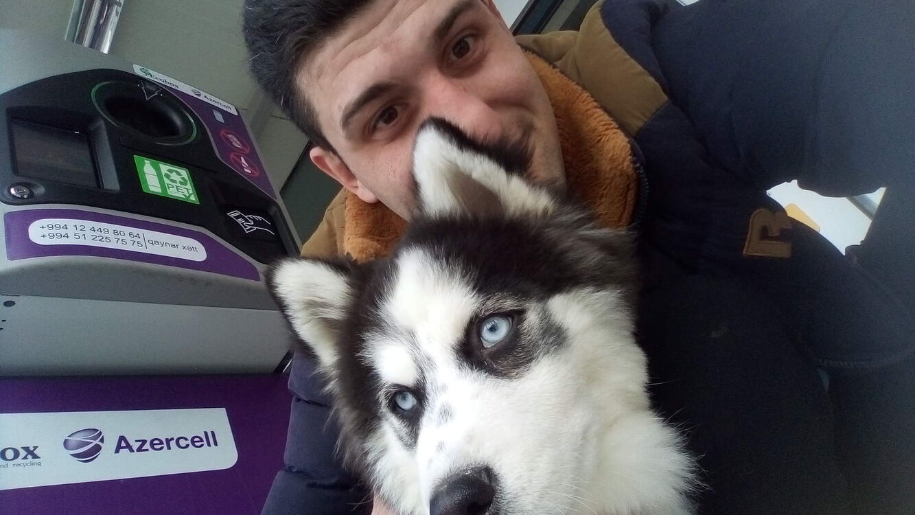 ���� 41879333 ������� ������, 31 ���, ���� ���������� � �����������