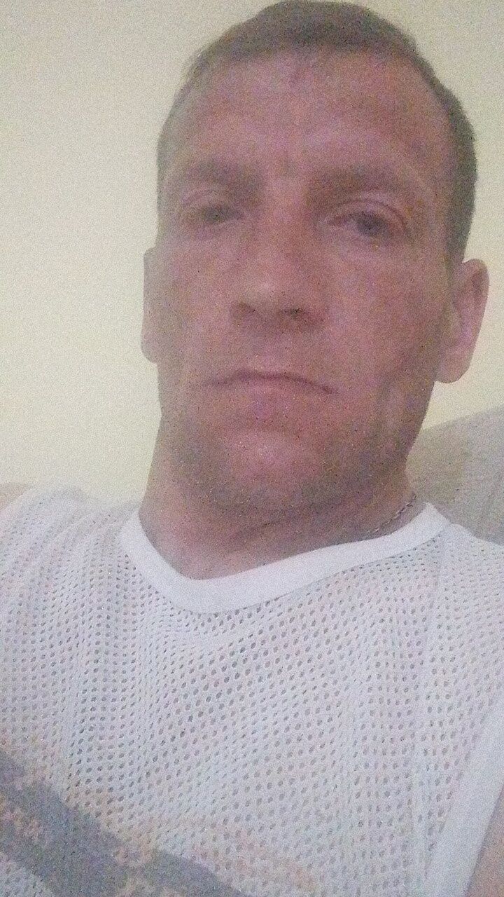  43497543  , 43 ,    