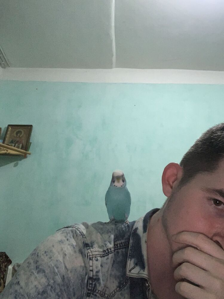 ���� 32926423 ������� �����, 26 ���, ���� ���������� � ��������