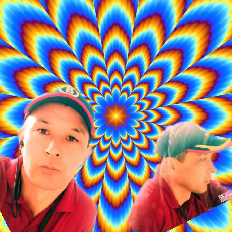 ���� 29284153 ������� ��������, 27 ���, ���� ���������� � ������� ���������